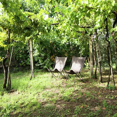 펜션 Luxurious Cozy With Pool Near In Tuscany Versatile *