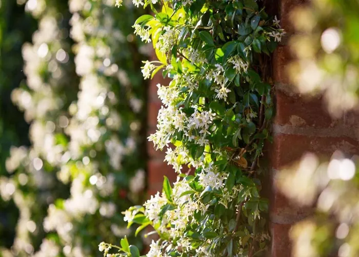 Luxurious, Cozy With Pool Near In Tuscany Versatile